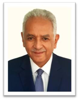 نائب رئيس مجلس الإدارة و الرئيس التنفيذى